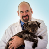 Jeremy Welcome, DVM